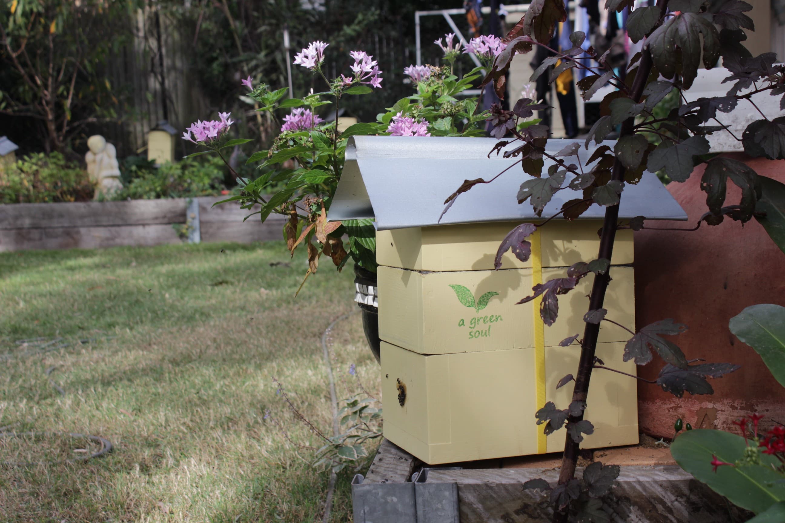 Native Beekeeping 101 Workshop