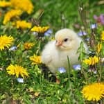 Stories to Keep: Weekly Writing Group