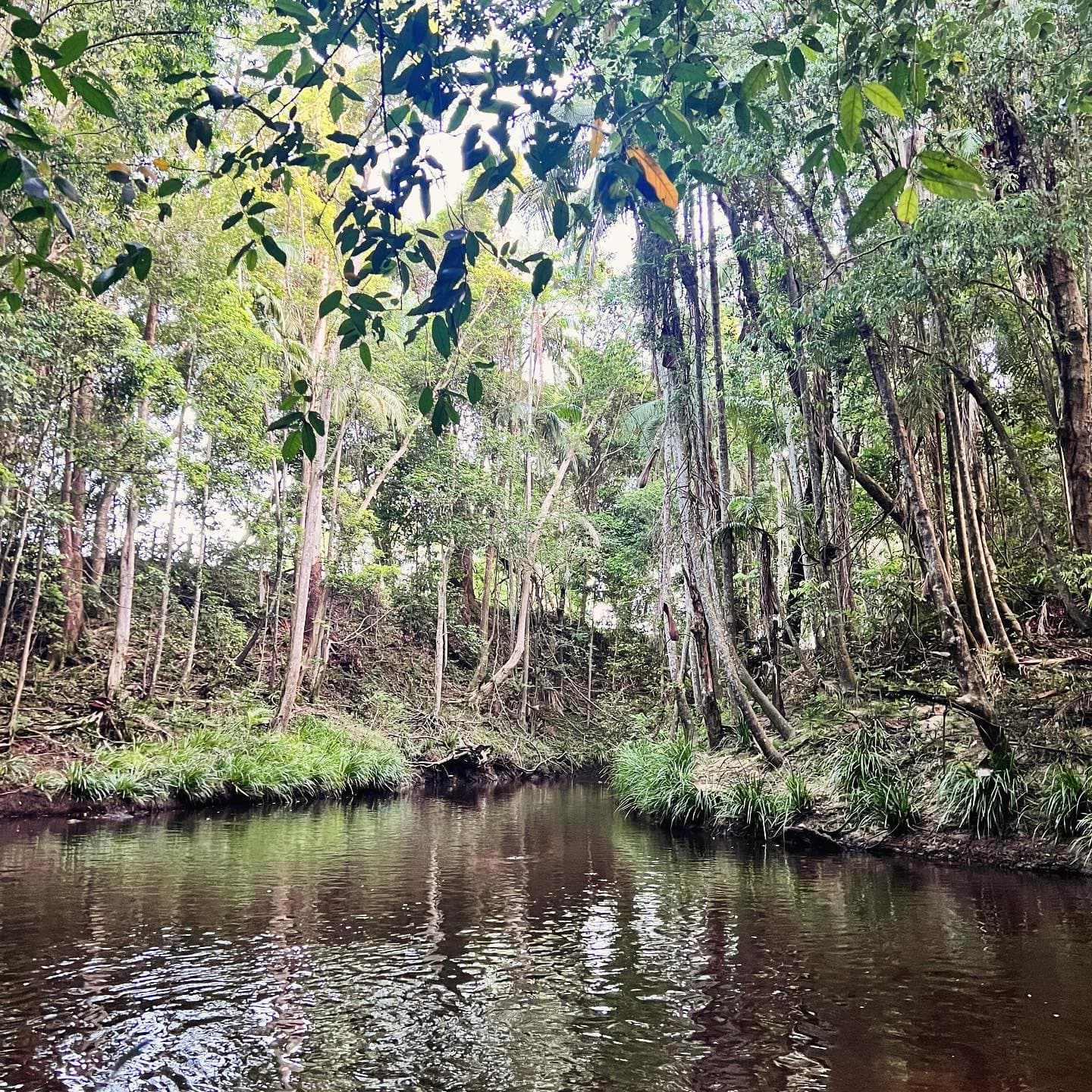 Free Camping Near the Sunshine Coast, and How to Spend Your Days