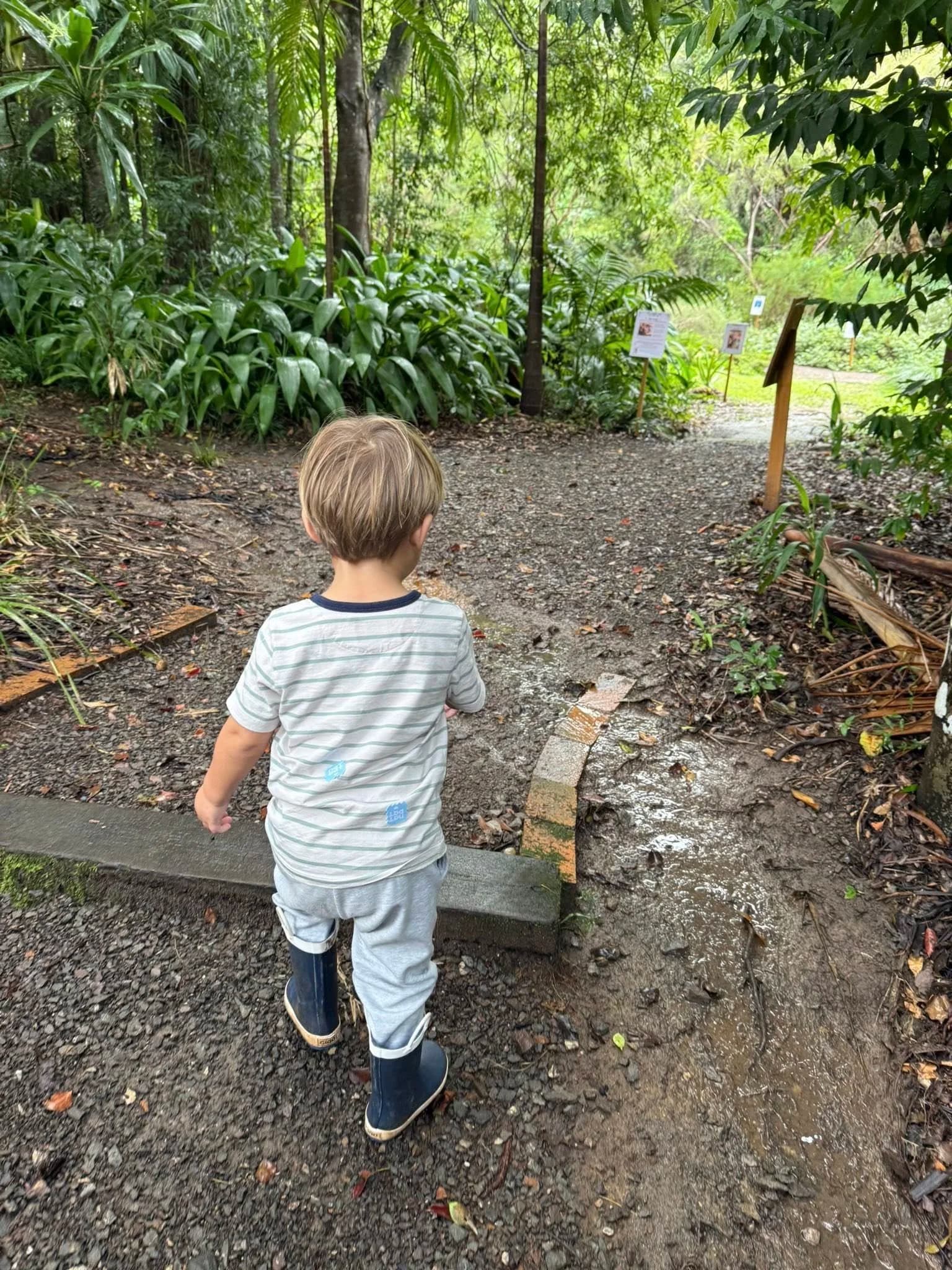Cafe Experience