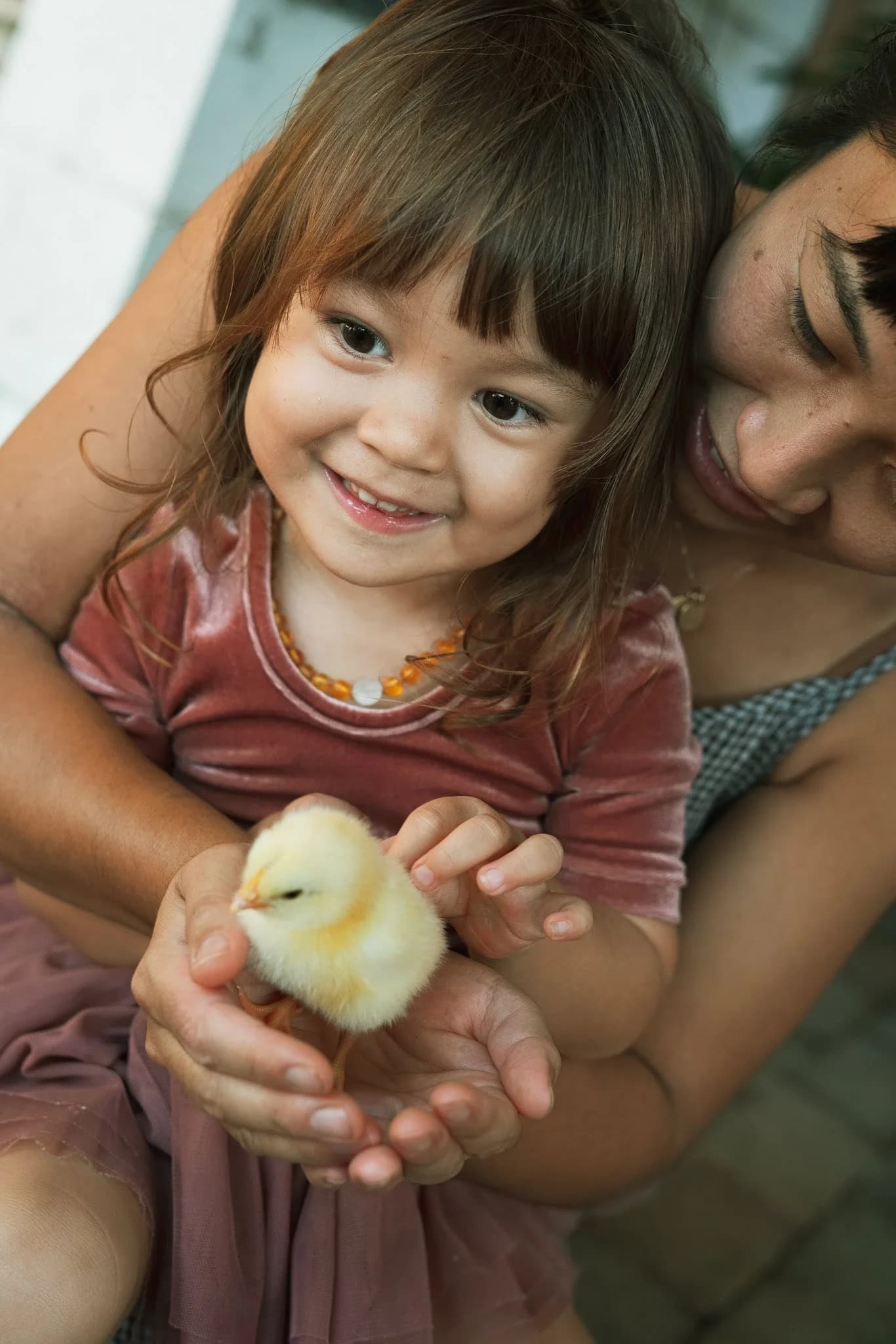 Working With Children Compliance