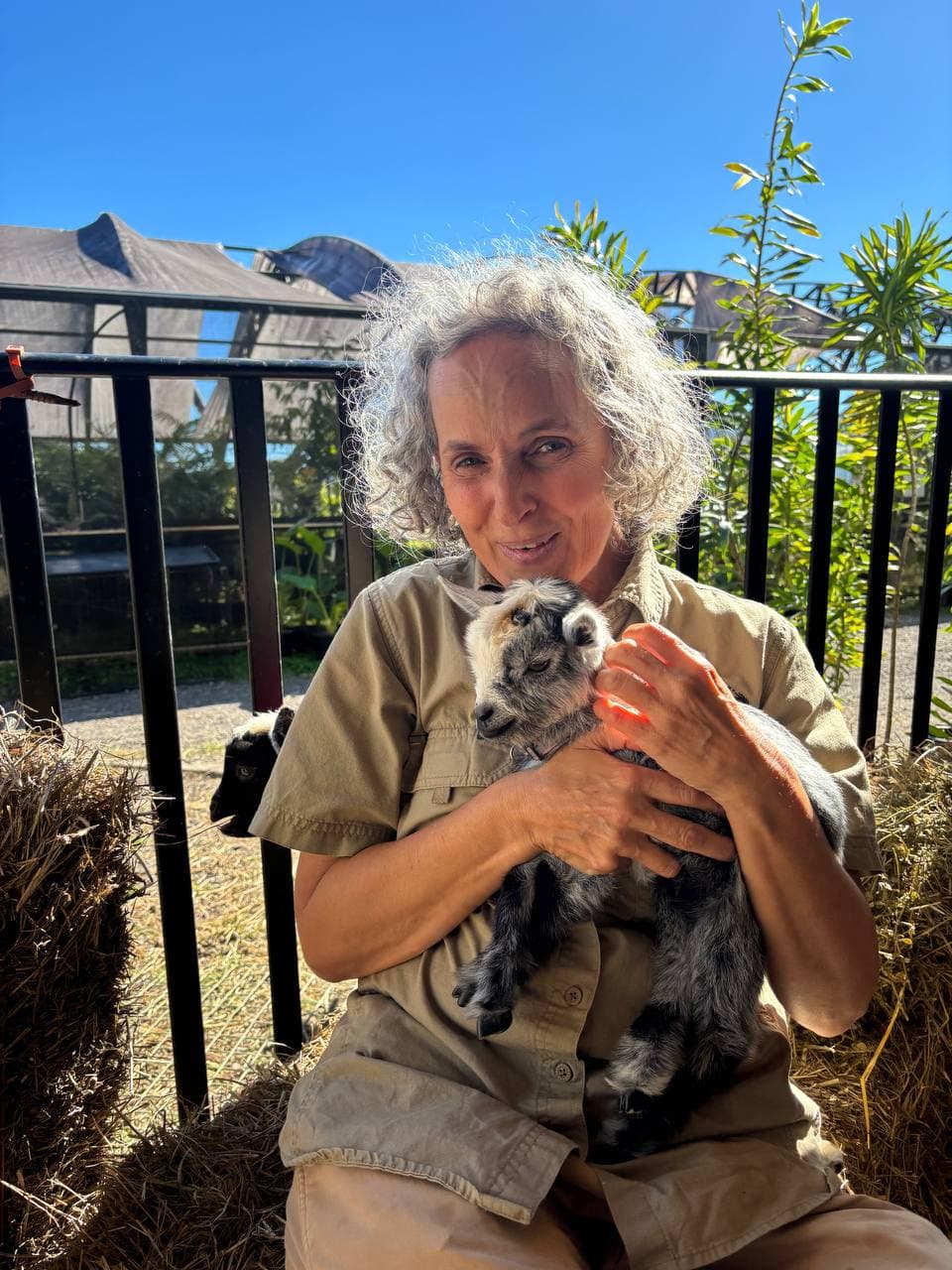 Ranger Naomi holding two of Fairhill's miniature pygmy goat kids