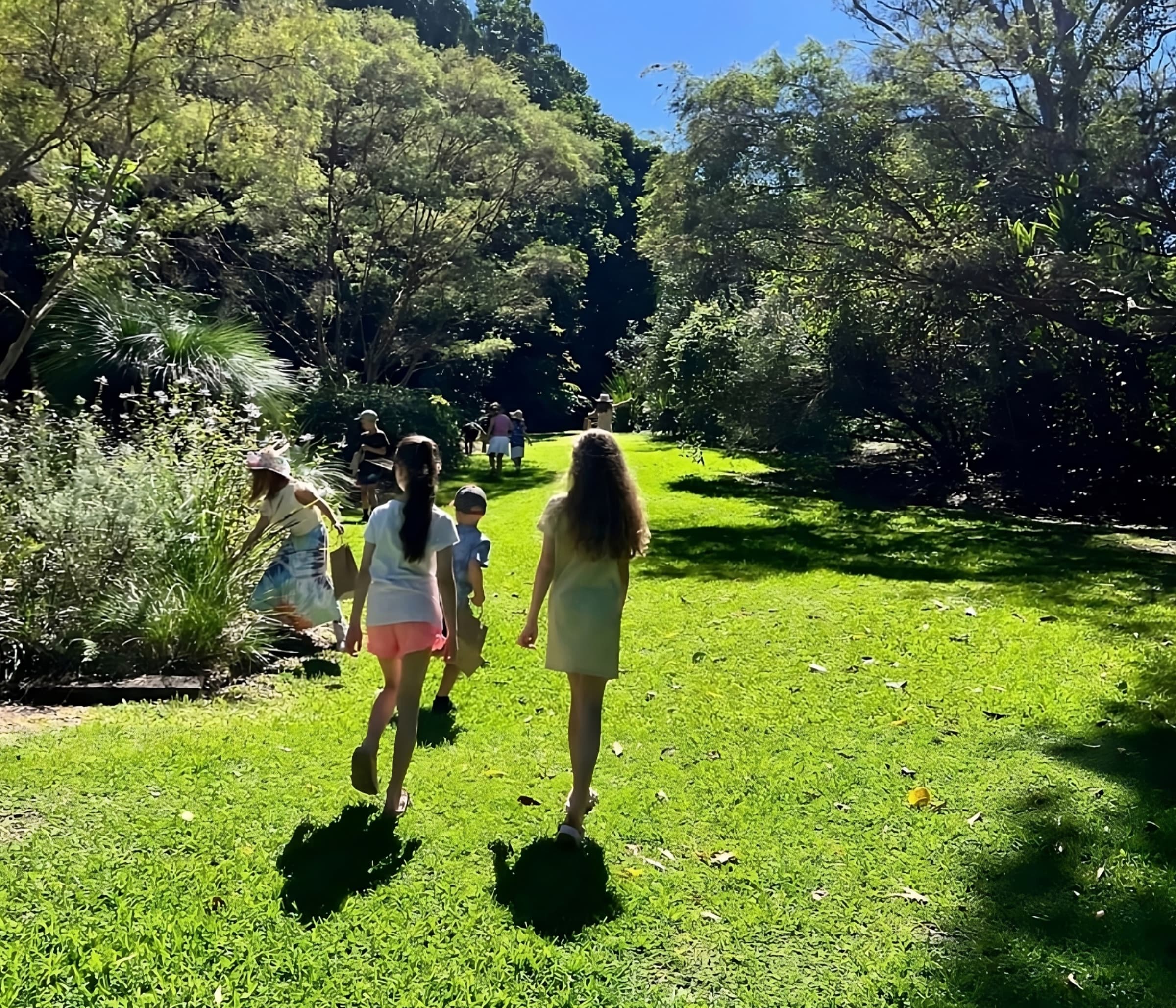 Backyard Science on the Sunshine Coast: A Family Guide for National Science Week