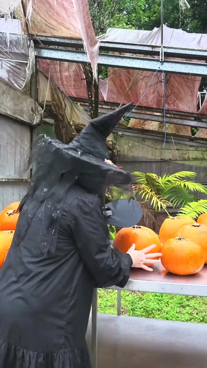 Halloween PumpkinFest at Fairhill: carving pumpkins with the Woodland Witch