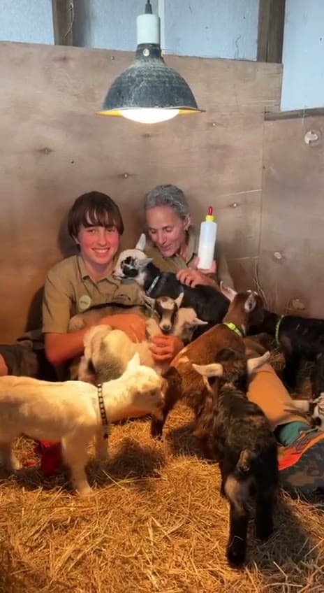Name the New Goat Kids: Ten Names, Ten Family Memberships to Win